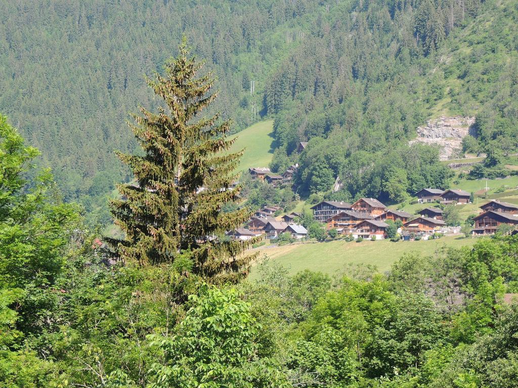 Apartmán La Duche 101 Le Grand-Bornand Pokoj fotografie